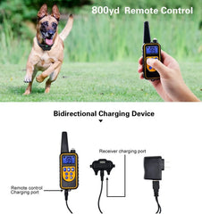 Electric Rechargeable Waterproof Dog Training Collar With Remote