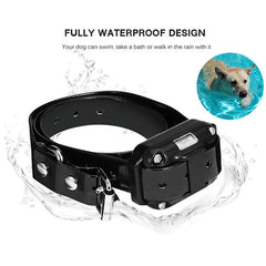 Electric Rechargeable Waterproof Dog Training Collar With Remote