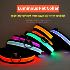 Luminous Fluorescent Nylon Safety LED Night Light Collar