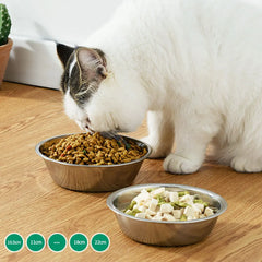 Large Capacity Stainless Steel Drinking & Feeding Bowl