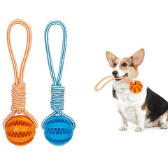 Dog Interactive Rubber Treat Balls with Rope