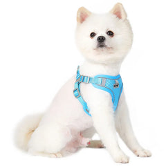 Small Reflective Dog Strap Harness & Outdoor Leash