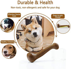 Indestructible Natural Non-Toxic Dental Dog Chew Toy