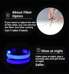 Luminous Fluorescent Nylon Safety LED Night Light Collar