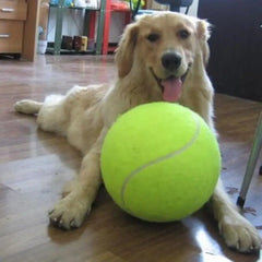 Giant Inflatable Tennis Ball