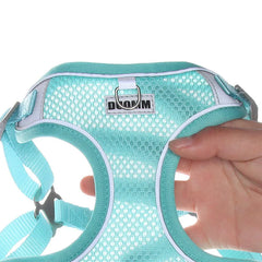 Small Reflective Dog Strap Harness & Outdoor Leash