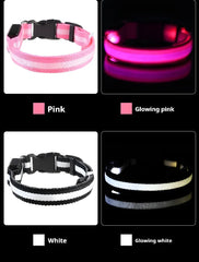 Luminous Fluorescent Nylon Safety LED Night Light Collar