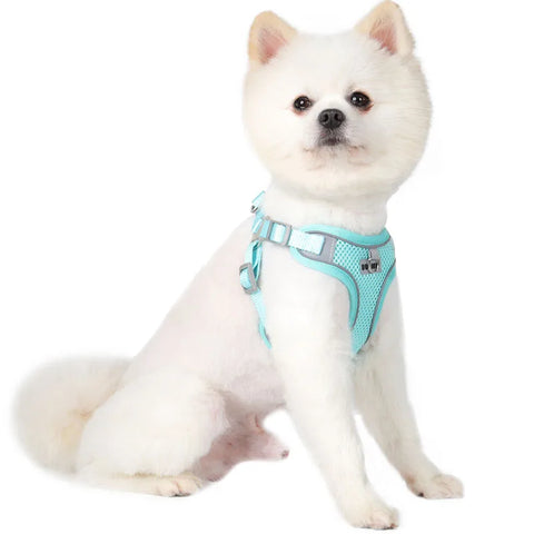 Small Reflective Dog Strap Harness & Outdoor Leash