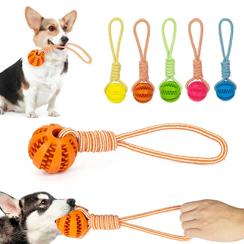 Dog Interactive Rubber Treat Balls with Rope