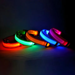 Luminous Fluorescent Nylon Safety LED Night Light Collar