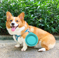 Dog Silicone Travel Collapsible Watering & Feeding Bowl