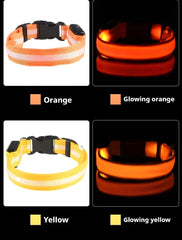 Luminous Fluorescent Nylon Safety LED Night Light Collar