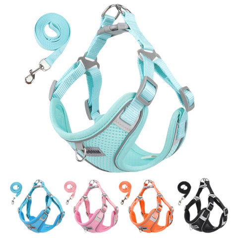 Small Reflective Dog Strap Harness & Outdoor Leash