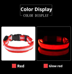 Luminous Fluorescent Nylon Safety LED Night Light Collar