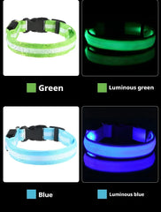 Luminous Fluorescent Nylon Safety LED Night Light Collar