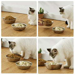 Large Capacity Stainless Steel Drinking & Feeding Bowl