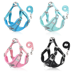 Small Reflective Dog Strap Harness & Outdoor Leash