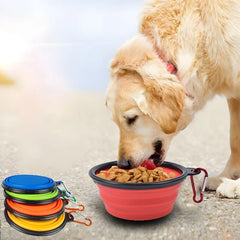 Dog Silicone Travel Collapsible Watering & Feeding Bowl