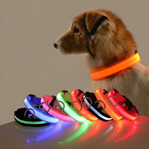 Luminous Fluorescent Nylon Safety LED Night Light Collar