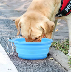 Dog Silicone Travel Collapsible Watering & Feeding Bowl