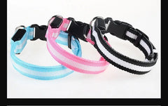 Luminous Fluorescent Nylon Safety LED Night Light Collar