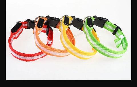 Luminous Fluorescent Nylon Safety LED Night Light Collar