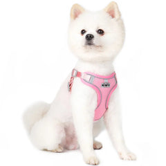 Small Reflective Dog Strap Harness & Outdoor Leash