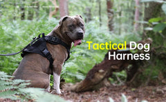 K9 Tactical Military Dog Training Vest