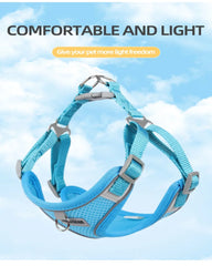 Small Reflective Dog Strap Harness & Outdoor Leash