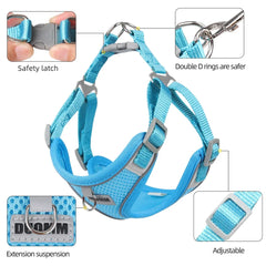 Small Reflective Dog Strap Harness & Outdoor Leash