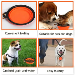 Dog Silicone Travel Collapsible Watering & Feeding Bowl